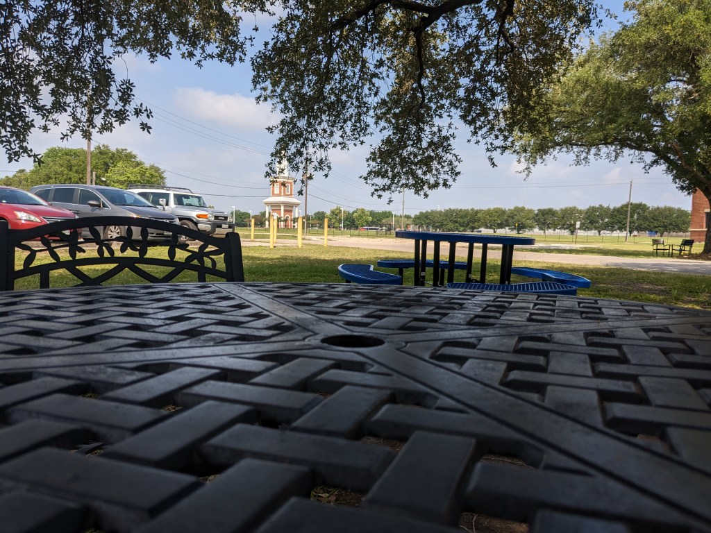 Oak trees and out of thoughts